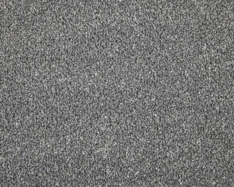Apollo Elite Carpet