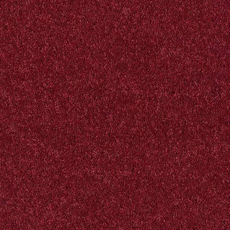 Royal Charter Deluxe Carpet