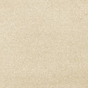 Cassius Saxony Carpet