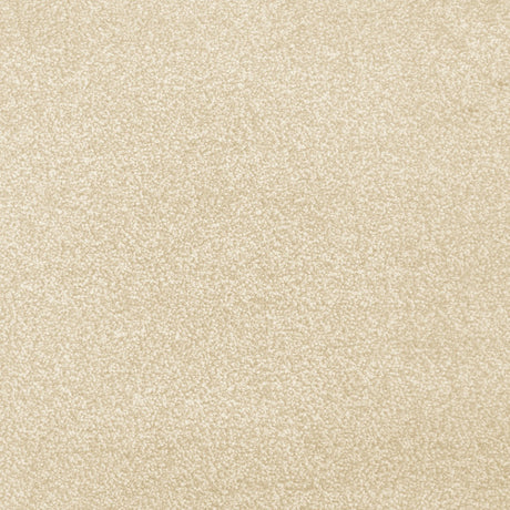 Cassius Saxony Carpet