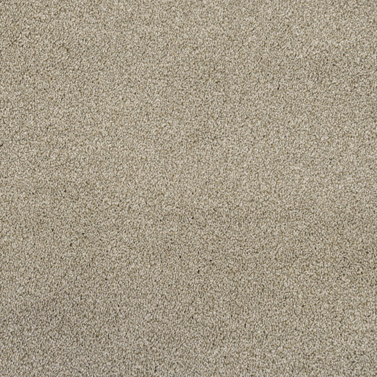 Cassius Saxony Carpet