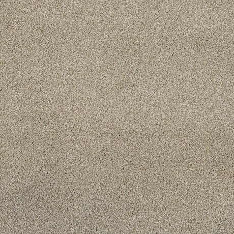 Cassius Saxony Carpet