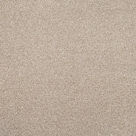 Cassius Saxony Carpet