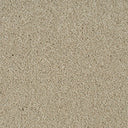 Cassius Saxony Carpet