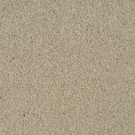 Cassius Saxony Carpet