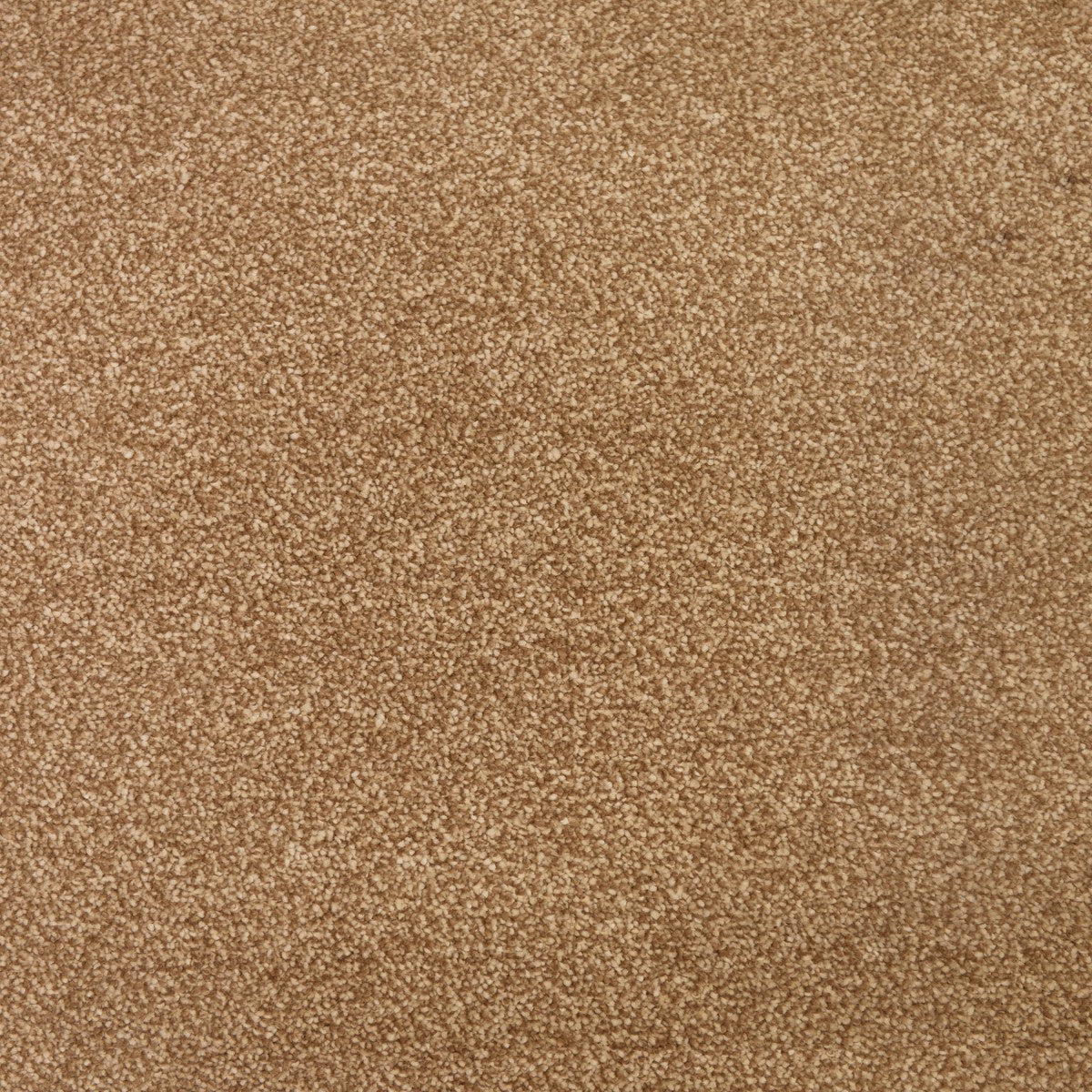 Cassius Saxony Carpet
