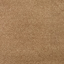 Cassius Saxony Carpet
