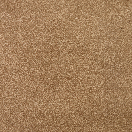 Cassius Saxony Carpet