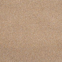 Cassius Saxony Carpet