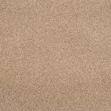 Cassius Saxony Carpet