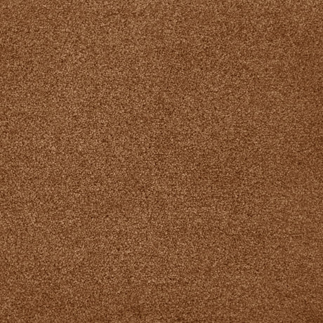 Cassius Saxony Carpet