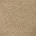 Cassius Saxony Carpet