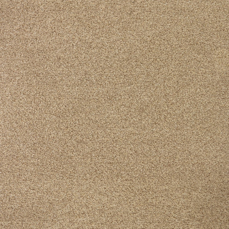 Cassius Saxony Carpet