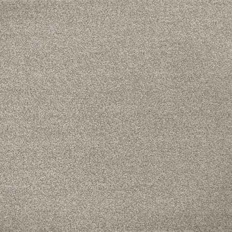 Cassius Saxony Carpet