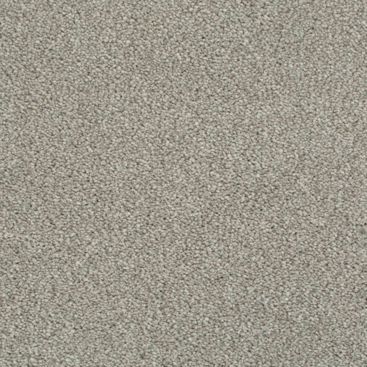 Cassius Saxony Carpet
