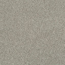 Cassius Saxony Carpet