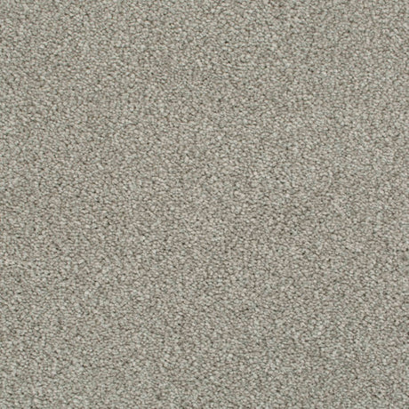 Cassius Saxony Carpet