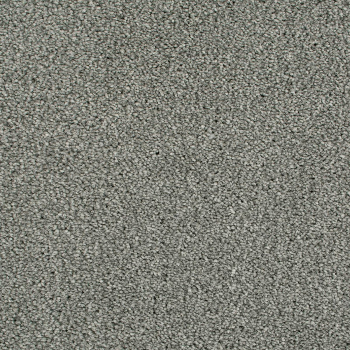 Cassius Saxony Carpet