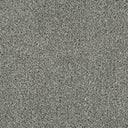 Cassius Saxony Carpet