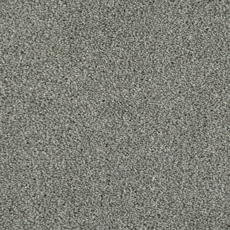 Cassius Saxony Carpet