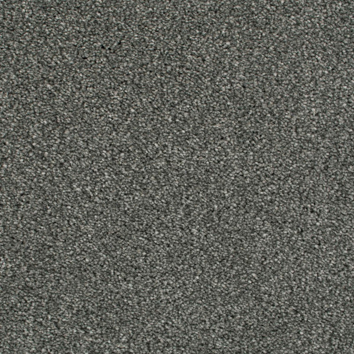 Cassius Saxony Carpet