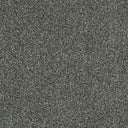 Cassius Saxony Carpet