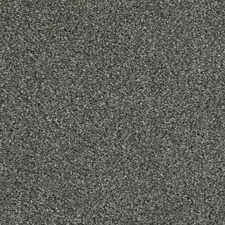 Cassius Saxony Carpet
