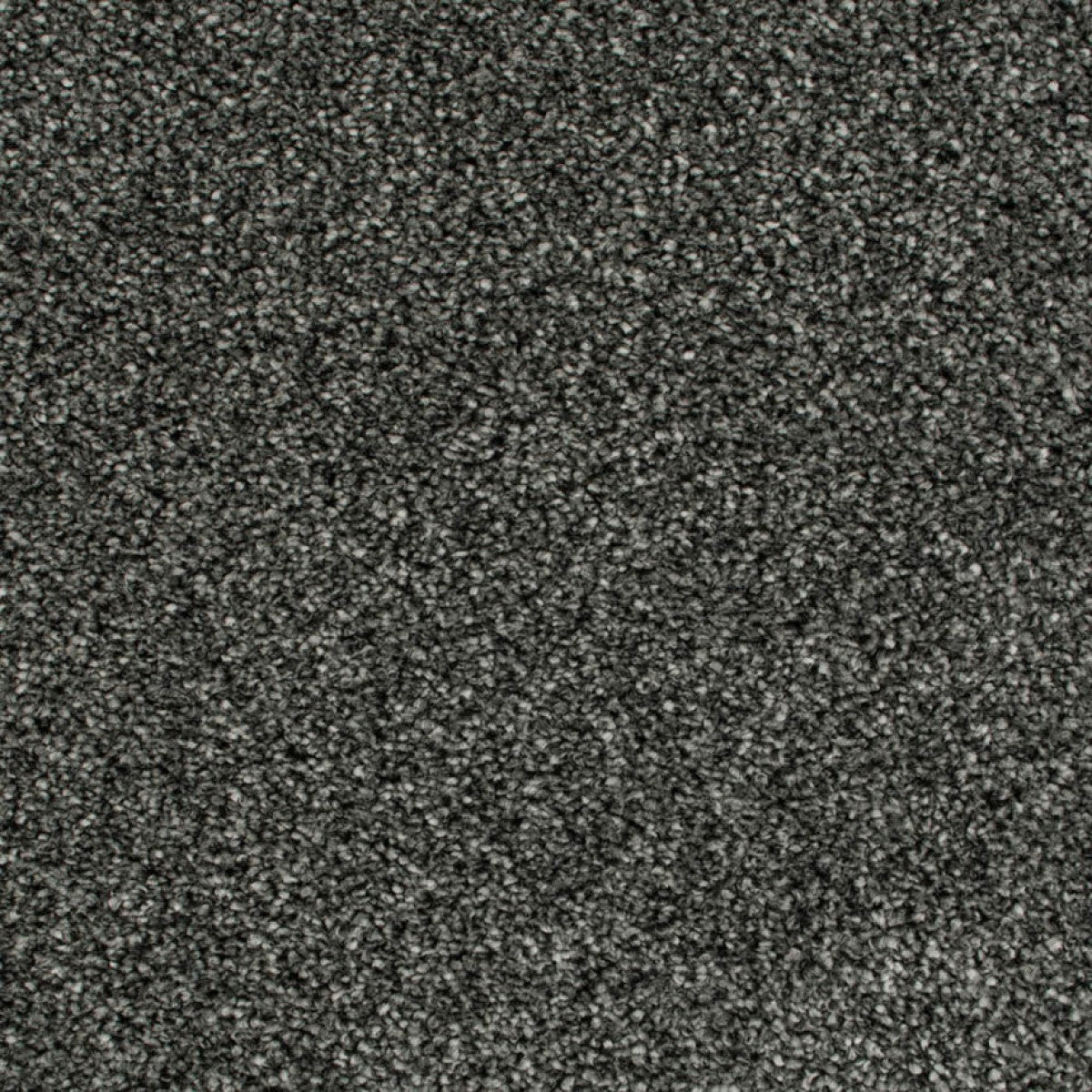 Cassius Saxony Carpet