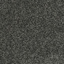 Cassius Saxony Carpet