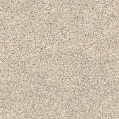 Centaurus Carpet