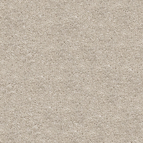 Centaurus Carpet