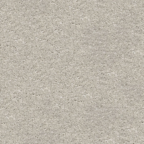 Centaurus Carpet
