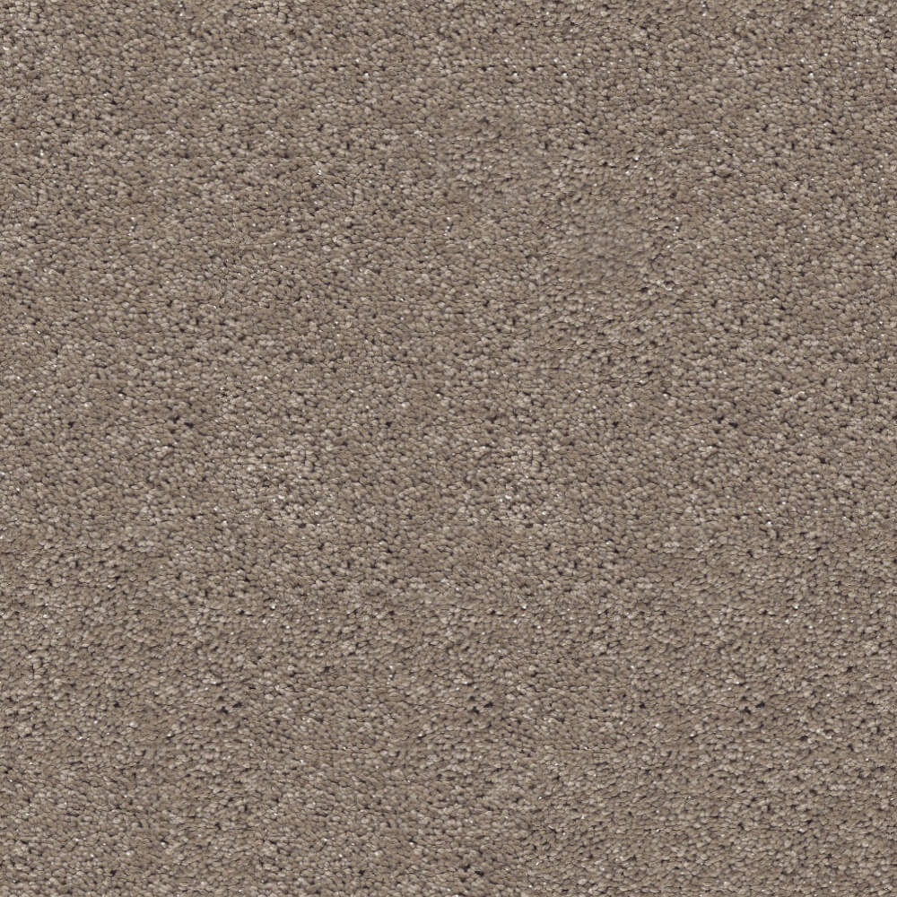 Centaurus Carpet