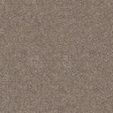 Centaurus Carpet