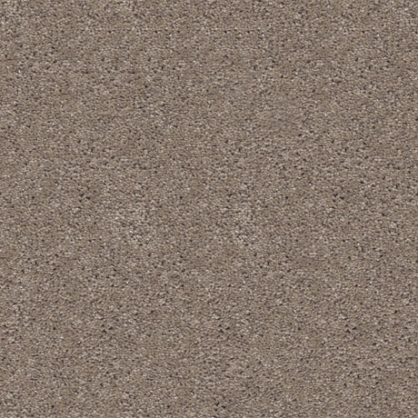 Centaurus Carpet
