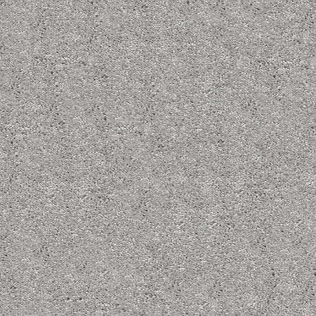 Centaurus Carpet