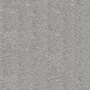 Centaurus Carpet