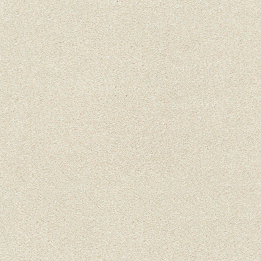 Stainfree Twist Carpet