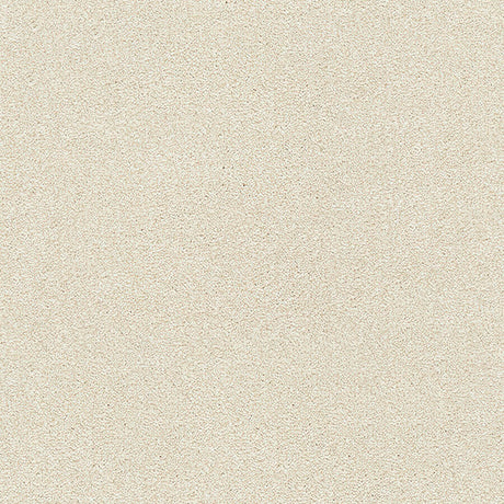 Stainfree Twist Carpet