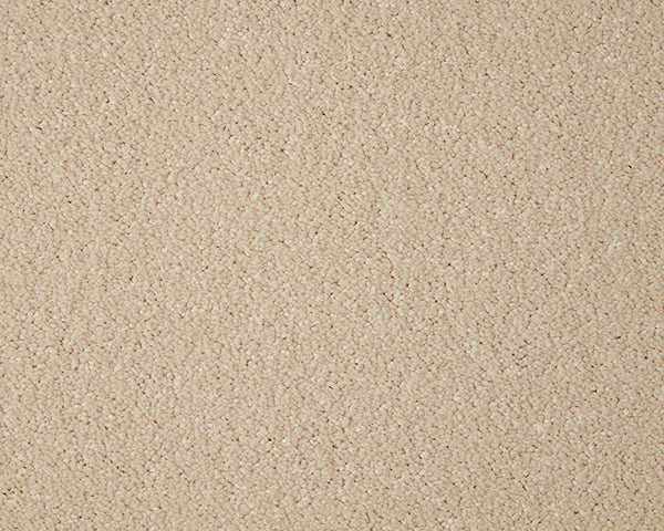 Primo Grande Carpet