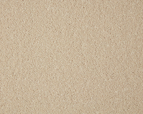 Primo Grande Carpet