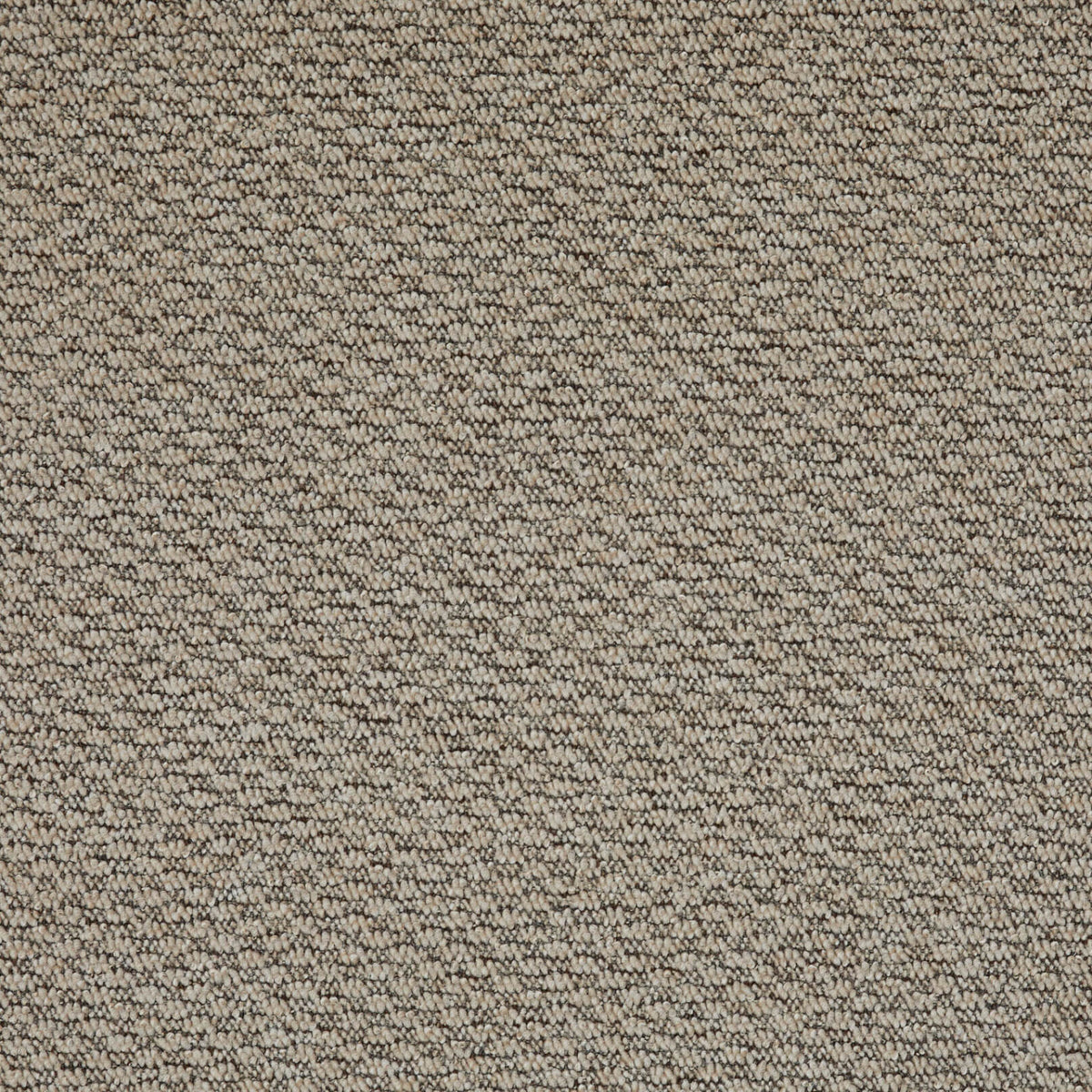 Champ Loop 63 (4.20m x 4.00m) M017937