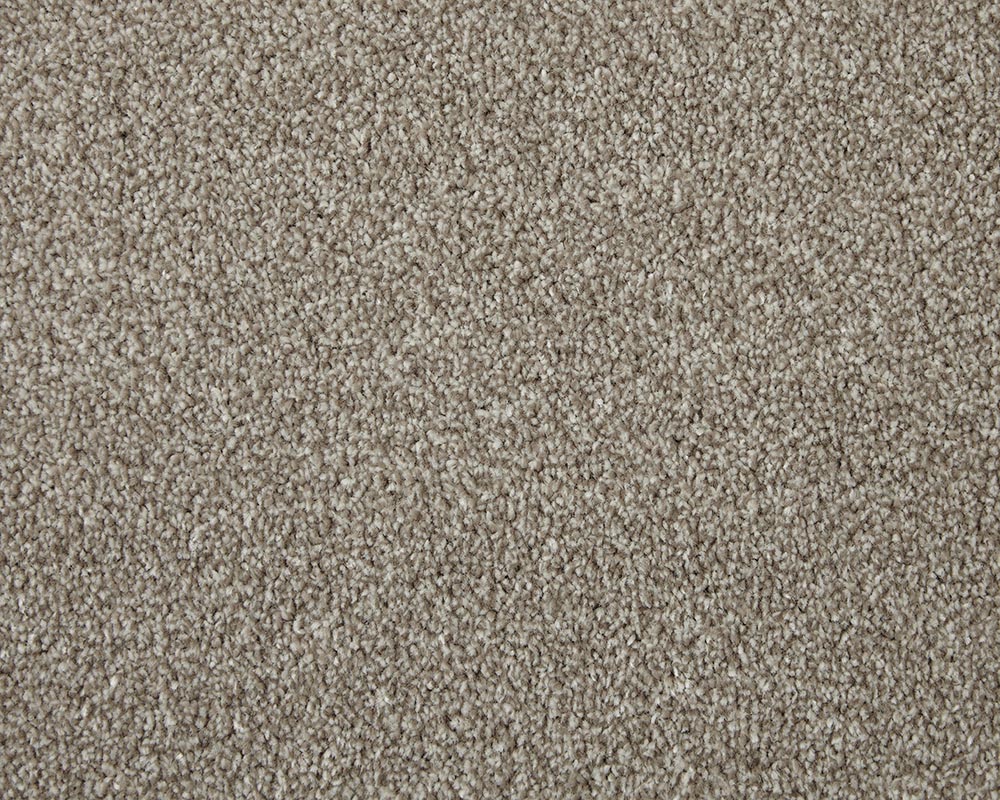 Apollo Elite Carpet
