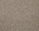 Apollo Elite Carpet