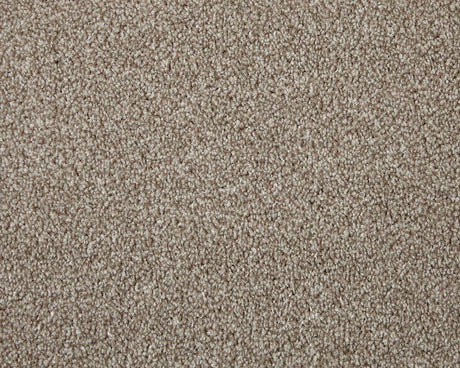 Apollo Elite Carpet