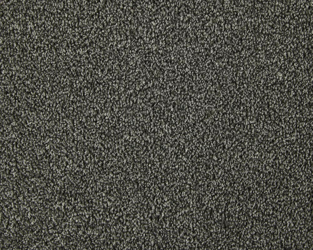 Apollo Elite Carpet