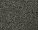 Apollo Elite Carpet