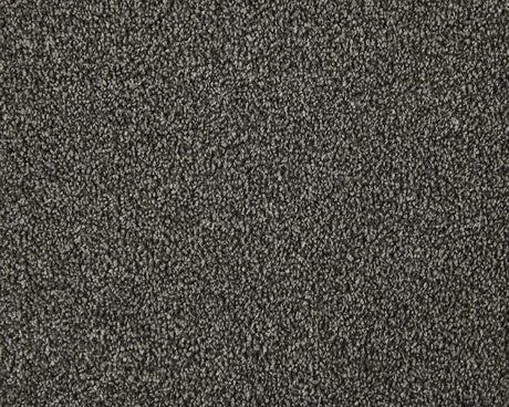 Apollo Elite Carpet