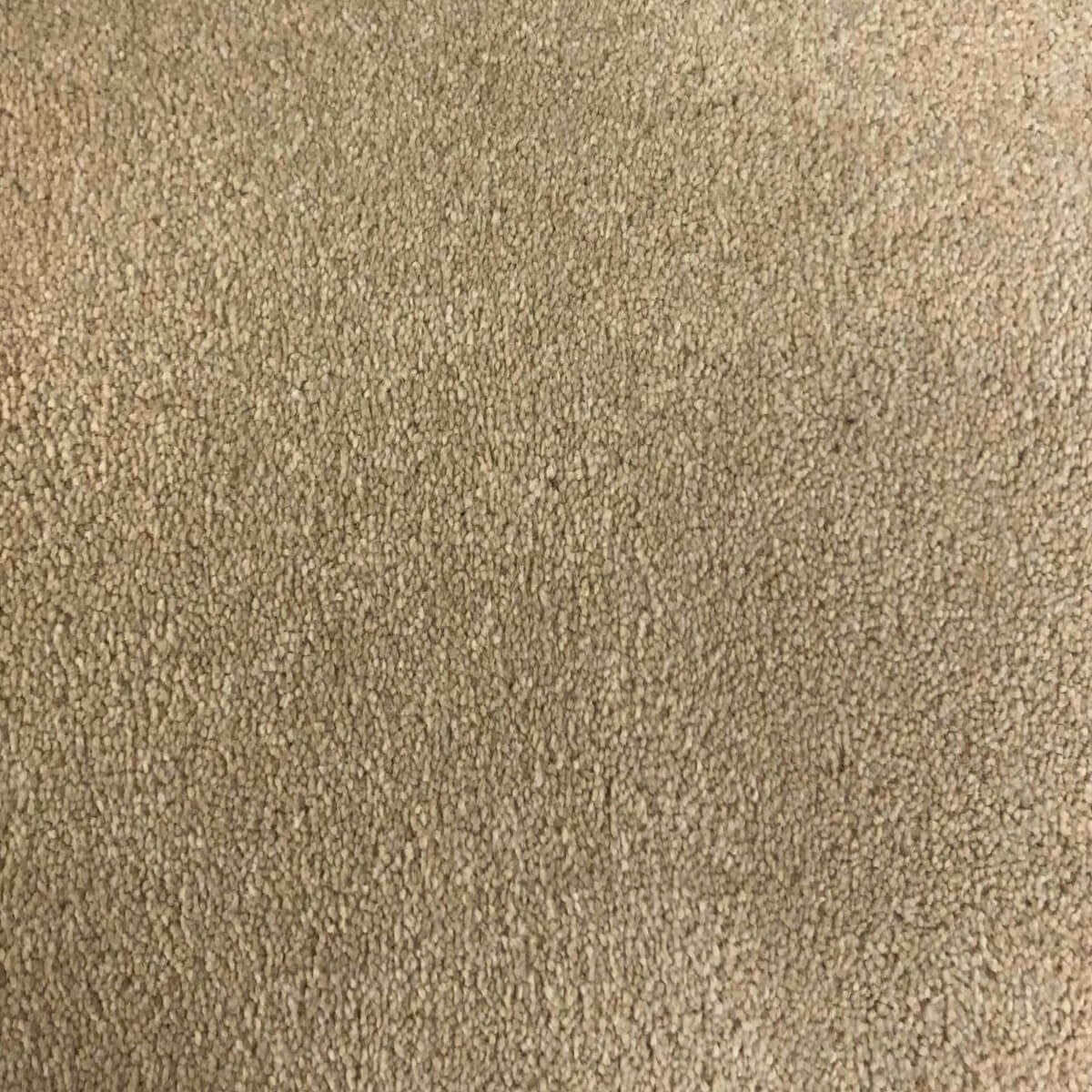 Chunky Saxony Ivory (1.20m x 4.00m) M011315