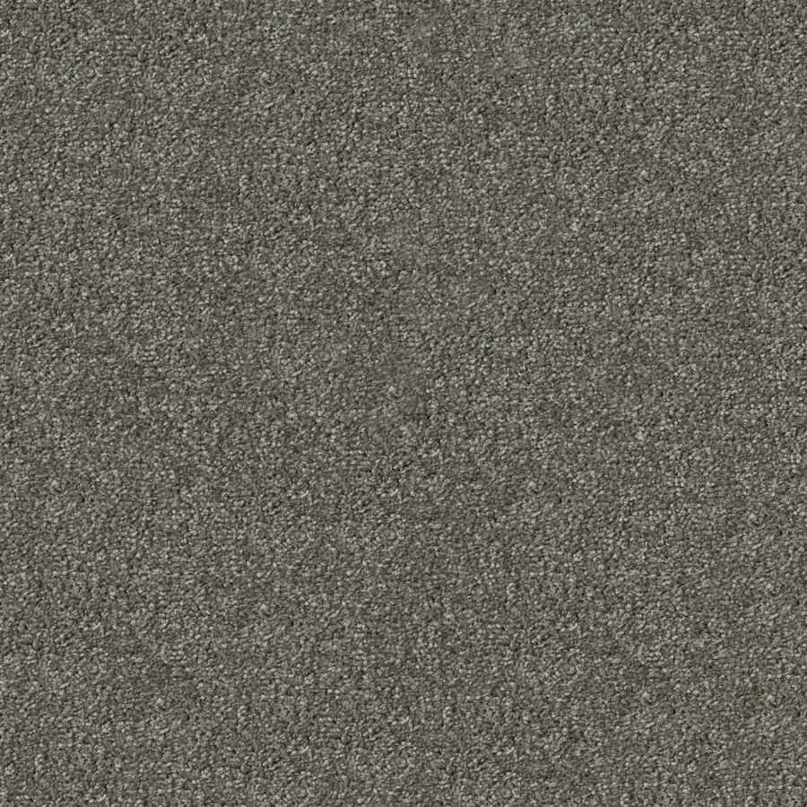 Apollo Plus Carpet